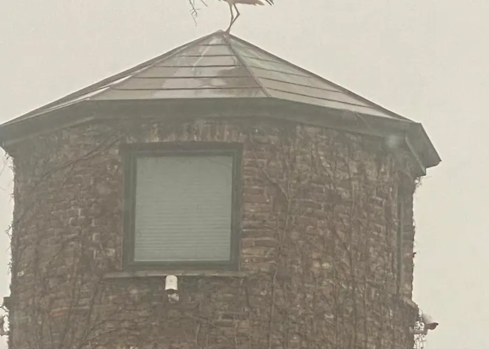 Semesterbostad Turm Auf Altem Bauernhof *