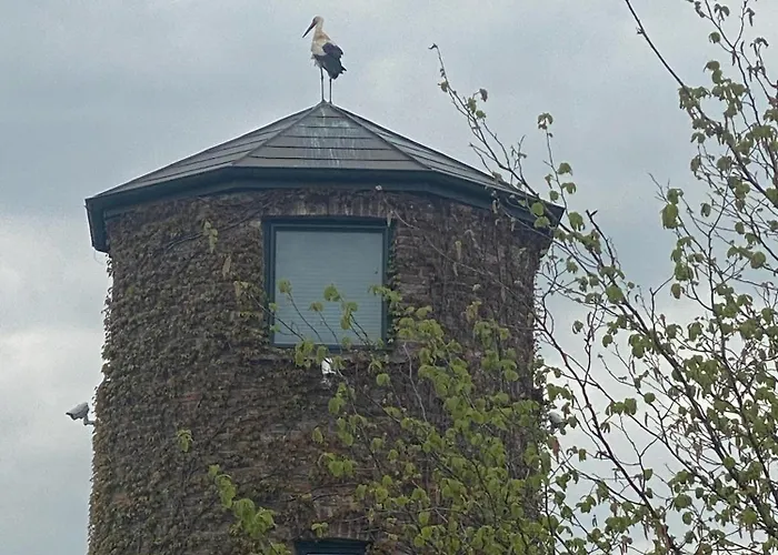 Turm Auf Altem Bauernhof